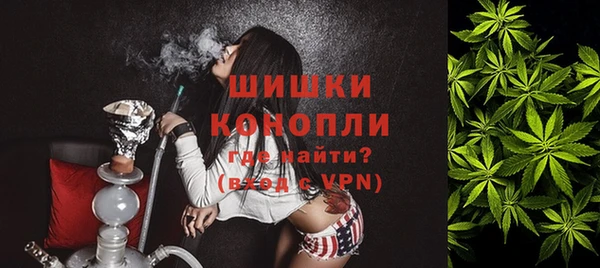 PSILOCYBIN Богданович