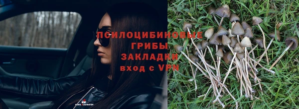 jwh Богородск