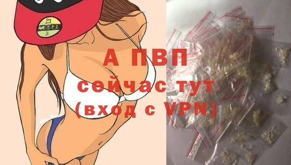 ECSTASY Белоозёрский